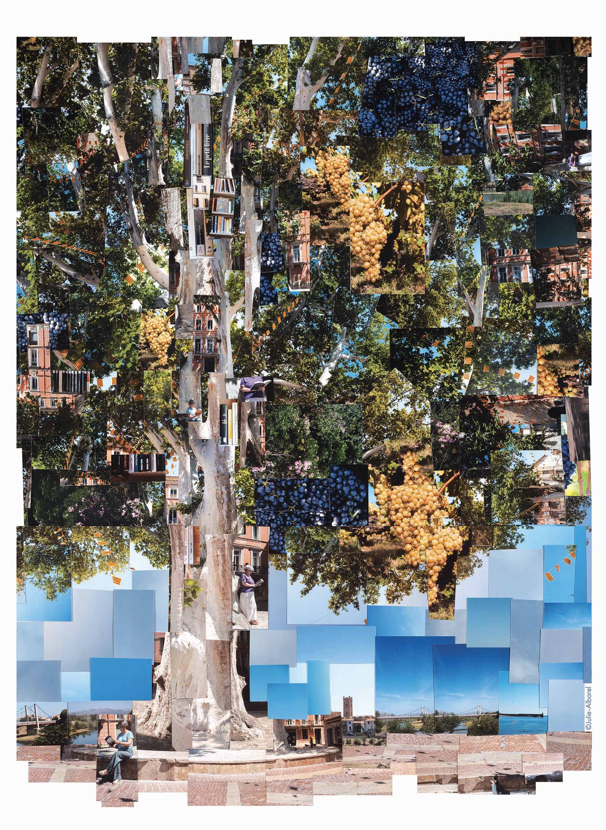 Les Vendanges Littéraires